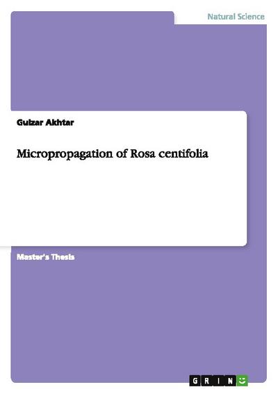Micropropagation of Rosa centifolia