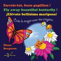 Envole-toi, beau papillon