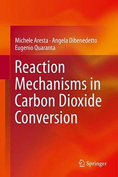 Reaction Mechanisms in Carbon Dioxide Conversion