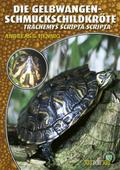 Die Gelbwangen-Schmuckschildkröte