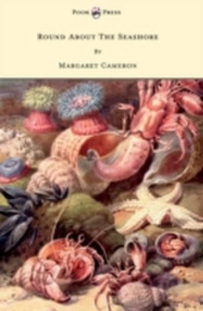 Round about the Seashore - With Eight Coloured Pictures
