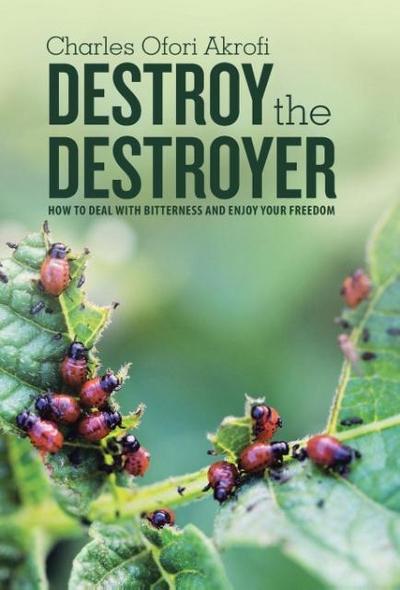 Destroy the Destroyer