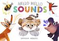 Hello Hello Sounds