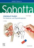 Sobotta Arbeitsbuch Muskeln