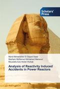 Analysis of Reactivity Induced Accidents in Power 