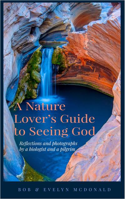 A Nature Lover’s Guide to Seeing God
