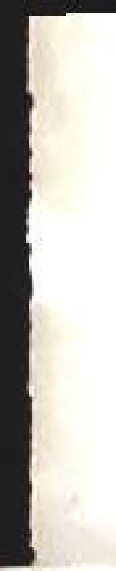 Cohen, S: Amos del mundo