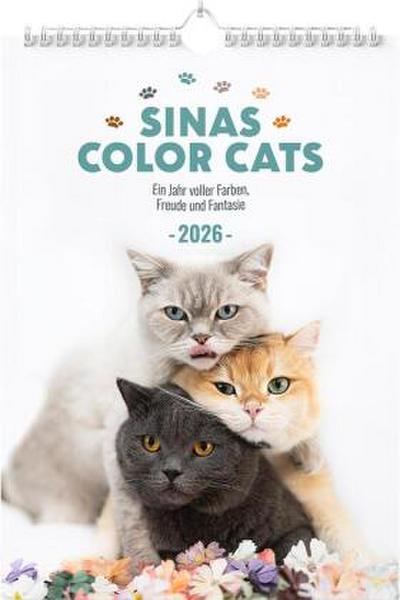 Sinas Color Cats - Ein Jahr voller Farben, Freude und Fantasie
