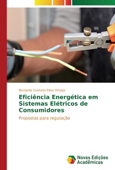 Eficiência Energética em Sistemas Elétricos de Consumidores