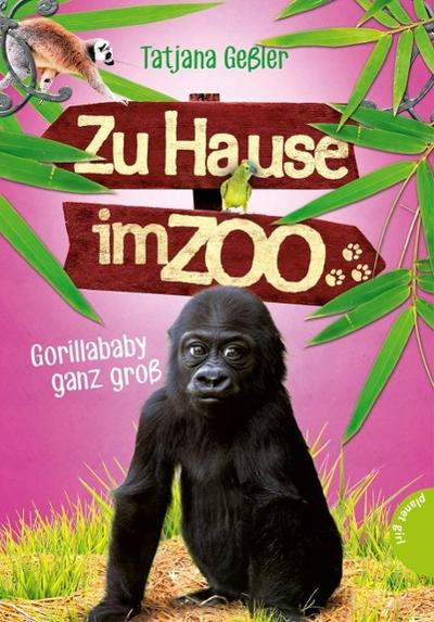 Zu Hause im Zoo - Gorillababy ganz groß