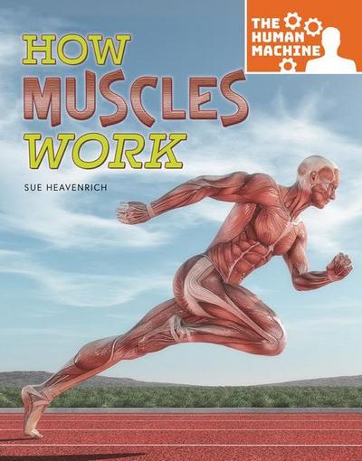 HOW MUSCLES WORK