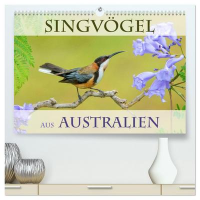 Singvögel aus Australien (hochwertiger Premium Wandkalender 2026 DIN A2 quer), Kunstdruck in Hochglanz