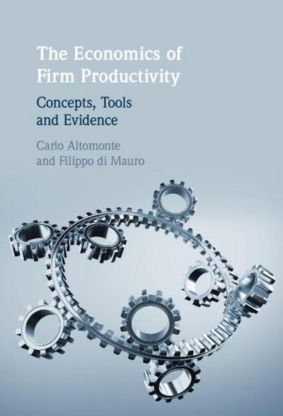 The Economics of Firm Productivity