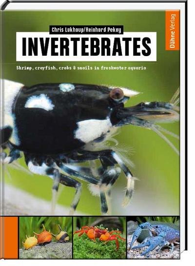 Invertebrates