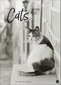 Cats Edition Kalender 2026 von Monika Wegler | sonst. Bücher