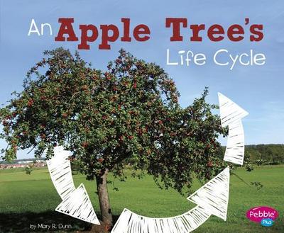 An Apple Tree’s Life Cycle