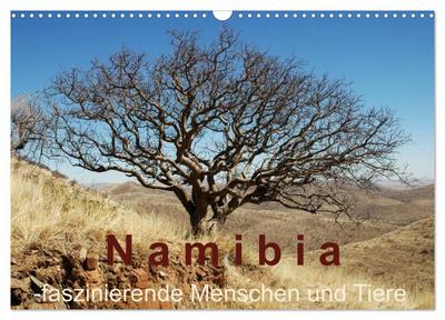 Namibia - faszinierende Menschen und Tiere (Wandkalender 2024 DIN A3 quer), CALVENDO Monatskalender