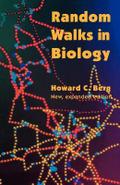 Random Walks in Biology