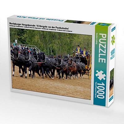 Moritzburger Hengstparade: 16 Hengste vor der Postkutsche! (Puzzle)