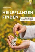 Heilpflanzen finden