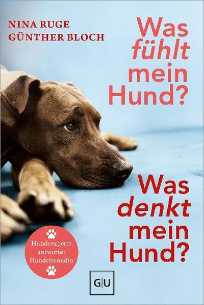 Was fühlt mein Hund? Was denkt mein Hund?