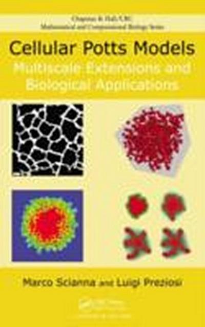 Cellular Potts Models