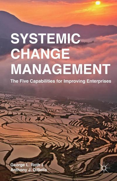 Systemic Change Management