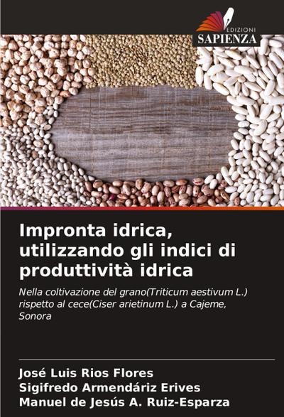 Impronta idrica, utilizzando gli indici di produttività idrica