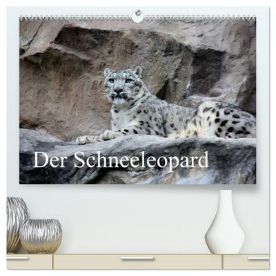 Der Schneeleopard (hochwertiger Premium Wandkalender 2024 DIN A2 quer), Kunstdruck in Hochglanz