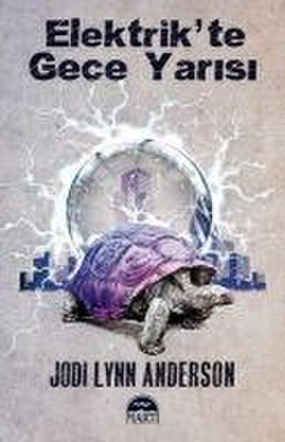 Elektrikte Gece Yarisi