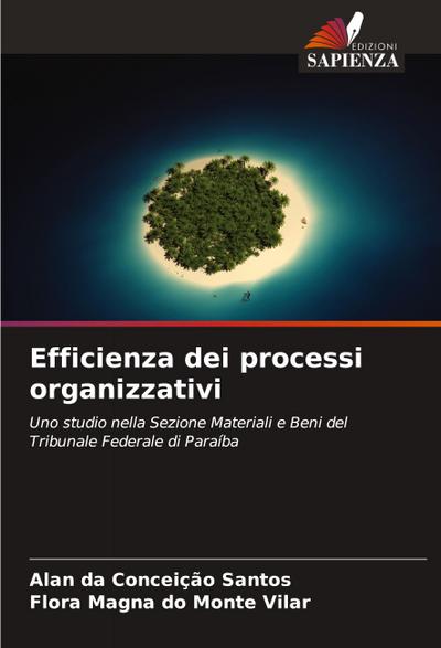 Efficienza dei processi organizzativi