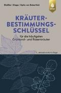 Kräuterbestimmungsschlüssel für die häufigsten Grü