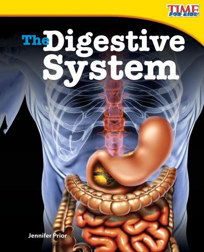 The Digestive System