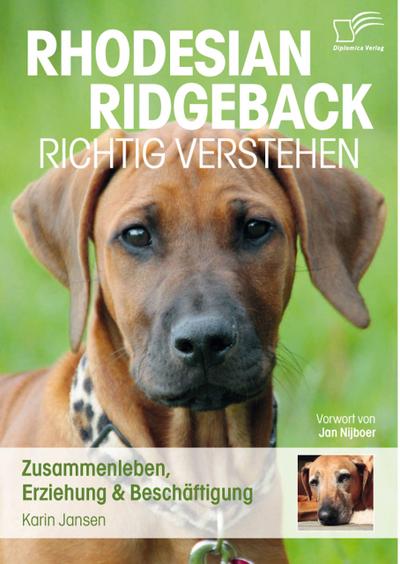 Rhodesian Ridgeback richtig verstehen: Zusammenleben, Erziehung & Beschäftigung