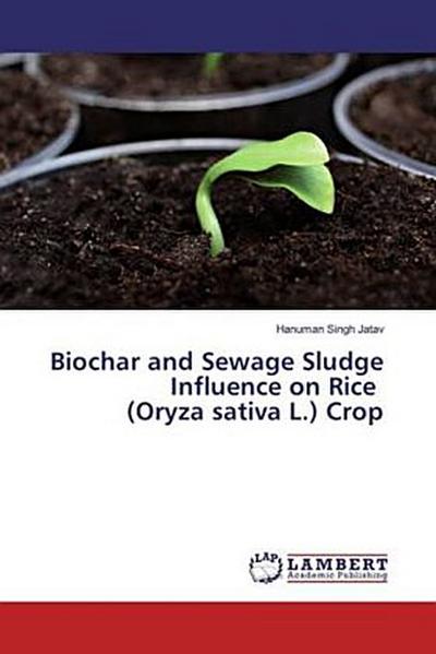 Biochar and Sewage Sludge Influence on Rice (Oryza sativa L.) Crop