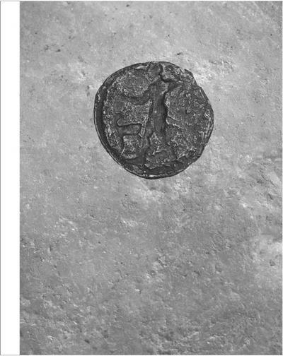 Heads and Tails, Tales and Bodies: Engraving the Human Figure from Antiquity to the Early Modern Period