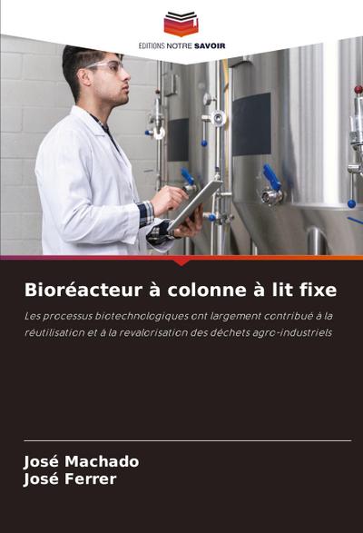 Bioréacteur à colonne à lit fixe