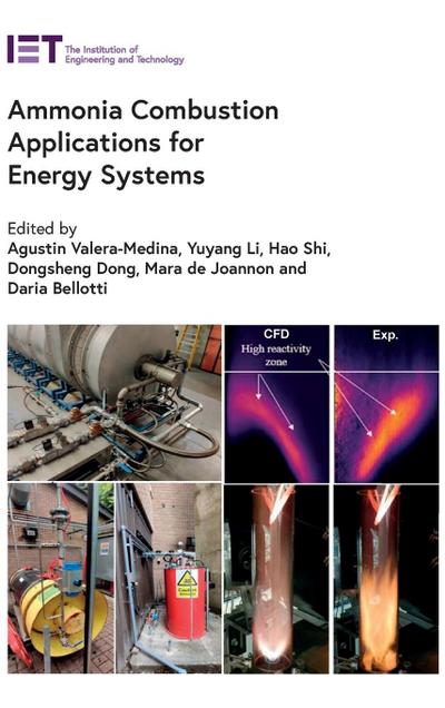 Ammonia Combustion Applications for Energy Systems