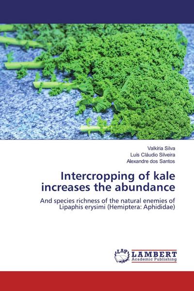Intercropping of kale increases the abundance