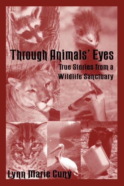 Through Animals’ Eyes