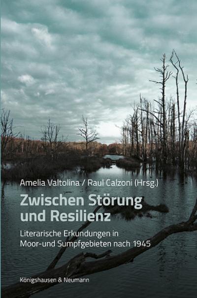 Zwischen Störung und Resilienz