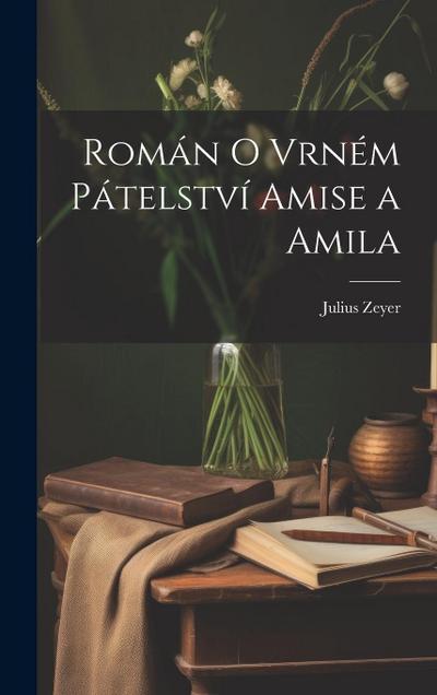 Román o vrném pátelství Amise a Amila