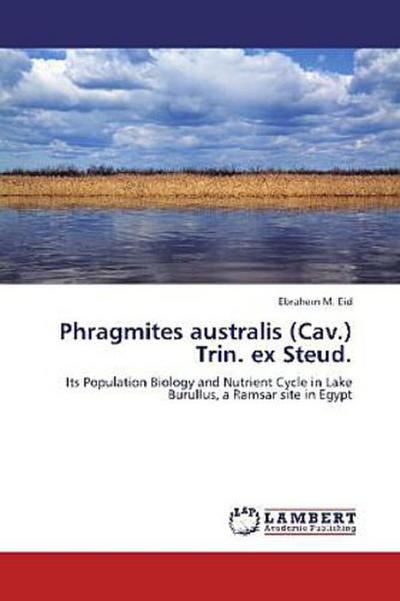 Phragmites australis (Cav.) Trin. ex Steud.