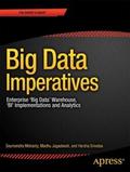 Big Data Imperatives