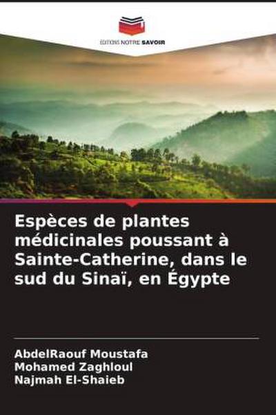 Espèces de plantes médicinales poussant à Sainte-Catherine, dans le sud du Sinaï, en Égypte