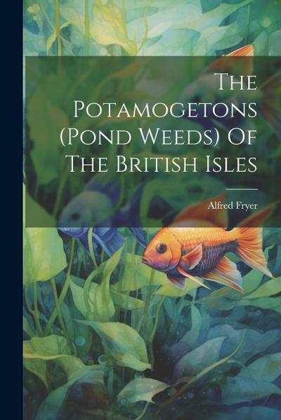 The Potamogetons (pond Weeds) Of The British Isles