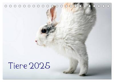 Tiere 2025 (Tischkalender 2025 DIN A5 quer), CALVENDO Monatskalender