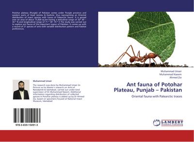 Ant fauna of Potohar Plateau, Punjab - Pakistan