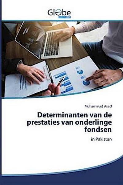 Determinanten van de prestaties van onderlinge fondsen