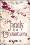 Family in a Snowstorm (Snow Globes, #2)